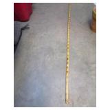 Walking Stick