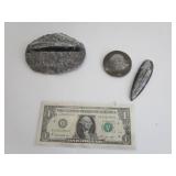 Fossil Rocks
