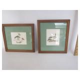 Framed Bird Pictures Framed Bird Pictures