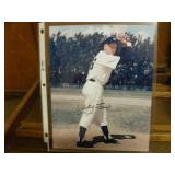 White Ford Signed 8x10 w/Cert White Ford Signed 8x10 w/Cert