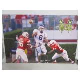 The Cats Football Photo 24'x35'