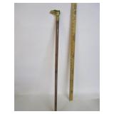 Brass Eagle Head Cane