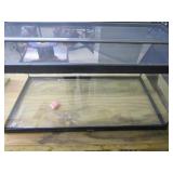 Animal Aquarium 35.5Wx17.5Dx17T