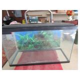 Fish Aquarium 30'Wx12.5'Dx19'T
