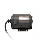 Dayton Motor Untested