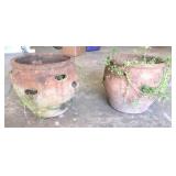 Potted Plants 12'T