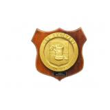 USS Exultant Mso 441 Wood Plaque 9.5'T