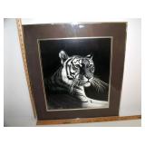 Tiger by Rudy Droguett Tiger by Rudy Droguett