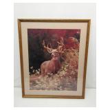 Buck In The Wild Framed 25'x21' Buck In The Wild Framed 25'x21'