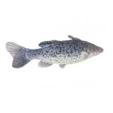 Big Plush Cat Fish
