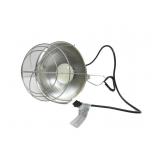 Electric Light