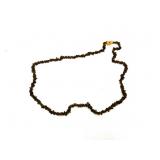 Amber Chips Necklace