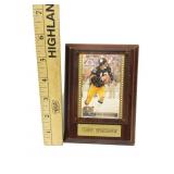 Terry Bradshaw Trading Card: Framed