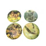 American Indian Collectable Plate Decor