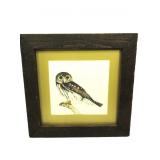 Vintage Framed Owl Print 19"x19.5"