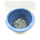 Lag Bolts W/Bucket