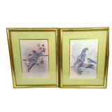 Framed Bird Prints 20"x16"