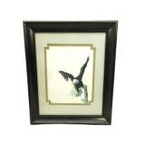 Framed Double Matt Eagle Print 17'x14'