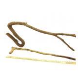 Walking Sticks