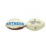 Dolphins & Panthers Footballs Needs some Air Dolphins & Panthers Footballs Needs some Air