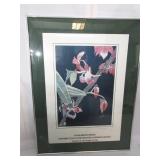 Framed Water Color 33.5"x25"