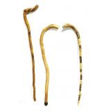 Walking Sticks