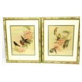 Vintage Bird Prints 12'X15'
