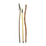 Walking Sticks
