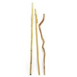 Walking Sticks