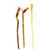 Walking Sticks 39'
