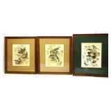 Arthur Singer Bird Prints 15.5'x17.5'