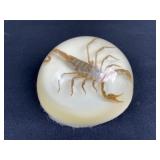Large Real Golden Scorpion Paperweight