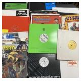 Hip-Hop Vinyl Records Collection: Ice-T, Three-6++