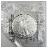 2009 American Silver Eagle 1oz .999 Dollar Coin
