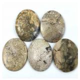 (5) Agate Palm Stones