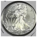 2013 American Silver Eagle 1oz .999