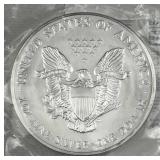 2004 American Silver Eagle 1oz .999 Fine BU