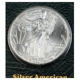 1999 American Silver Eagle 1oz in Littleton