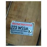 20 ROUNDS 223 WSSM
