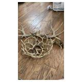 Dear antler bowl, clock, and dear antlers Dear antler bowl, clock, and dear antlers