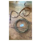 2 Whips and Lasso 2 Whips and Lasso