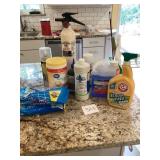 Household Cleaning Supplies and Tools Lot