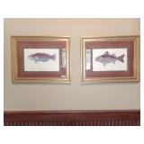 Fish pictures Fish pictures