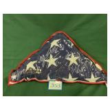 American Flag in Protective Bag