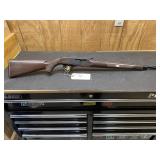 Remington Nylon 66 22 Long Rifle Only