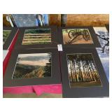 Paintings & Pictures Paintings & Pictures