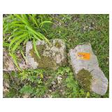 Garden stones