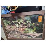 Framed photo