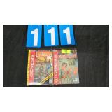 SEGA GENESIS JUNGLE BOOK & ETERNAL CHAMPIONS GAMES