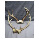 2 Nice Sets of Deer Antlers